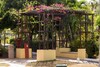 Hotel Hesperia Ed�n Club - Adults Only