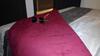 Hostal Oca�a Manilva