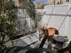 Citrus Boutique Hotel