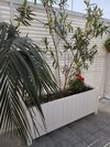 Citrus Boutique Hotel