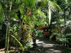El Jardin De Playa Negra
