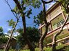Bed & Breakfast Columbus Inn