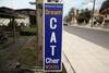 Hostal Dream Cat-cher Hostel