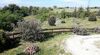 Bed & Breakfast La Casa Fiorita