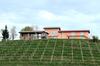 Agroturismo Casali Del Picchio - Winery