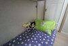 Hostal Four Seasons House - Hostel, Women Only