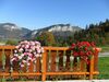 Hotel H�tel Les Skieurs