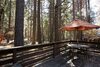 Creekside Cabin
