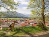 Pension Haus Wildbach