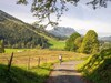 Pension Haus Wildbach