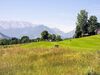 Pension Haus Wildbach