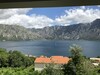 Sarenagomila