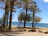 Finca Baeza Flores