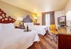 Doubletree Castle Hotel