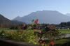 Alpenhof Landhotel Restaurant