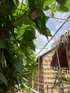 Hotel Nha Homestay