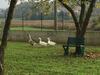 Bed & Breakfast Oca Carolina