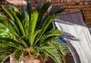 Apartamento Rent In Rome - Marignoli