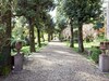 Serene Holiday Home With Garden, Pool, Terrace, Deckchairs