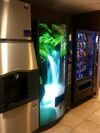 Hotel Microtel Inn And Suites Minot