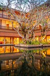 Hotel Bentota Beach, The Cinnamon Luxury Collection