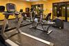 Holiday Inn Express Hotel & Suites White Haven - L