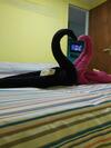 Apartamento Caba�a Vivir