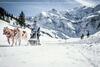Apartamento Residenz Bad Gastein