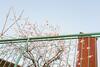 Apartamento Zum Grazer Uhrturm By Welcome2vienna
