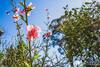 Apartamento Alsace - Healesville