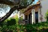 Les Oliveres 47