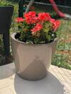 Bed & Breakfast Les Hauts De Castets