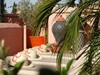 Riad Al Bushra
