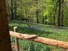Lodge Cherry Tree Glamping