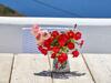 Holiday Home Milos Island