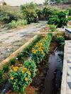 Villa Royal Meadows - Igatpuri Bungalow A