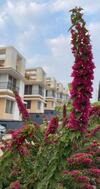 Villa Royal Meadows - Igatpuri Bungalow A