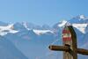 Hotel Zum Mohren & Plavina
