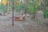 Rustic Lakeside Cabin On 3 Acres With Nature Views!