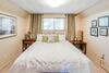 Smoke Tree Hollow