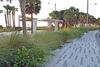 Apartamentos Siesta Key Beach - Bari 665 #2