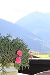 Apartamento Haus Seber