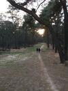 Bed & Breakfast De Olde Veld Hoeve