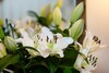 A Charming Richmond Garden