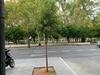 Apartamento Center Flat Tejares