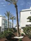 Apartamento Appartement Vista Bristol 50b
