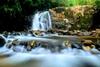 Hostal Rainforest River Bay