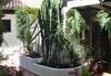 Apartamento Aptos Monasterio de San Antonio 7