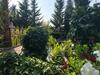 Agroturismo Caba�as de Madera Y Bungalows - Gilma�as 3