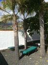 Casa �scar
